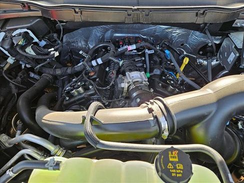 New 2025 Ford F150 STX w/ STX Black Appearance Package image 16