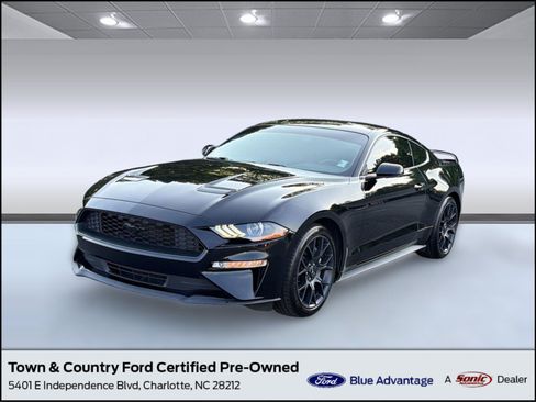 Used 2019 Ford Mustang Premium w/ Ecoboost Performance Package RWD image 1
