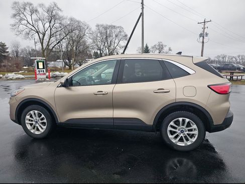 Used 2020 Ford Escape SE image 8