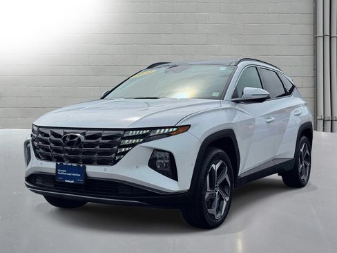 Used 2023 Hyundai Tucson Limited AWD/4WD image 4