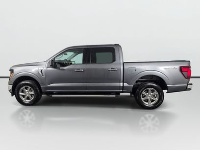 Used 2025 Ford F150 XLT w/ Equipment Group 301A Standard
