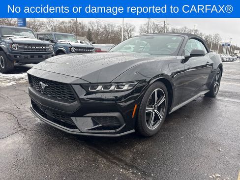Used 2025 Ford Mustang Premium image 2