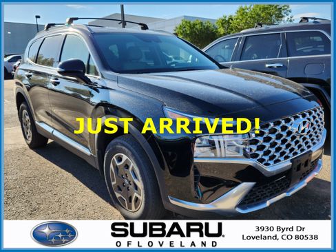 Used 2023 Hyundai Santa Fe Blue AWD/4WD image 1
