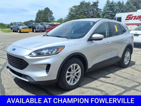 Used 2020 Ford Escape SE AWD/4WD image 3