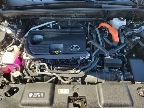 Used 2025 Lexus NX 350h AWD w/ Cold Area Package image 31