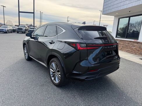Used 2025 Lexus NX 350h AWD w/ Accessory Package (K3) image 6