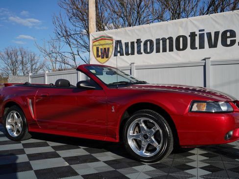 Used 2001 Ford Mustang Cobra image 3