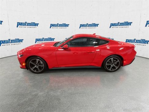 New 2025 Ford Mustang EcoBoost image 7