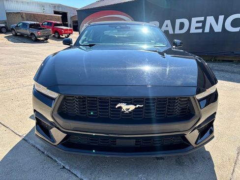 Used 2024 Ford Mustang Premium RWD image 2