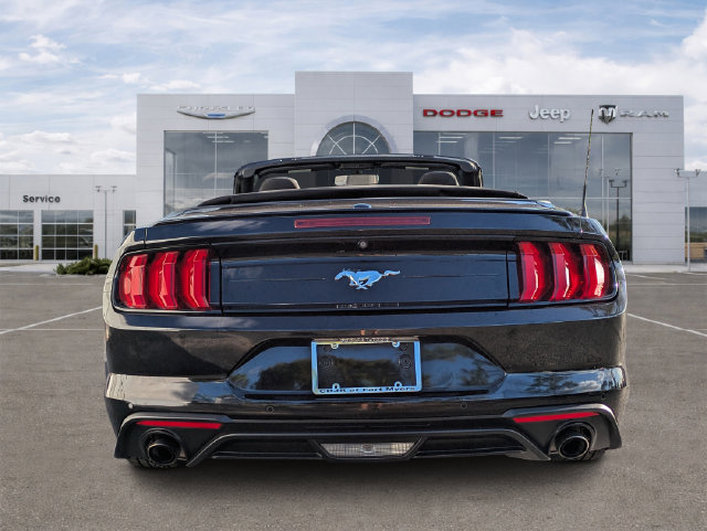 Used 2019 Ford Mustang Convertible w/ Equipment Group 101A RWD image 4