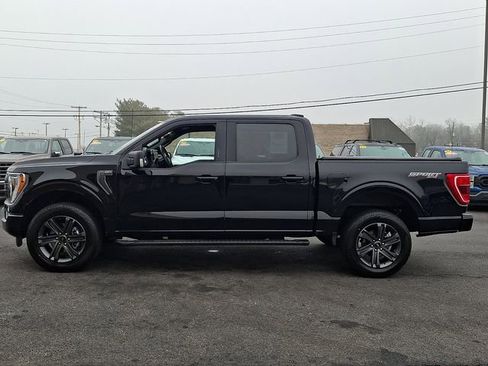 Certified 2023 Ford F150 XLT w/ Equipment Group 302A High image 7