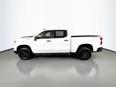 Used 2024 Chevrolet Silverado 1500 LT Trail Boss w/ Protection Package