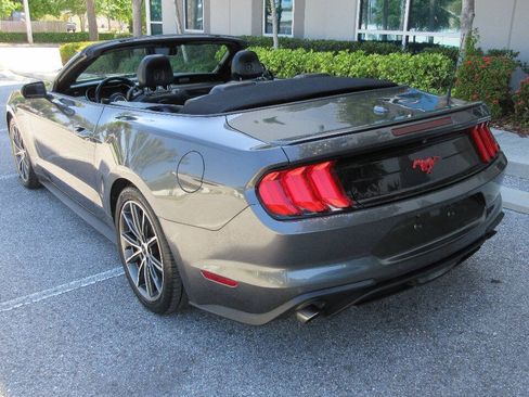 Used 2019 Ford Mustang Premium w/ Equipment Group 201A RWD image 3
