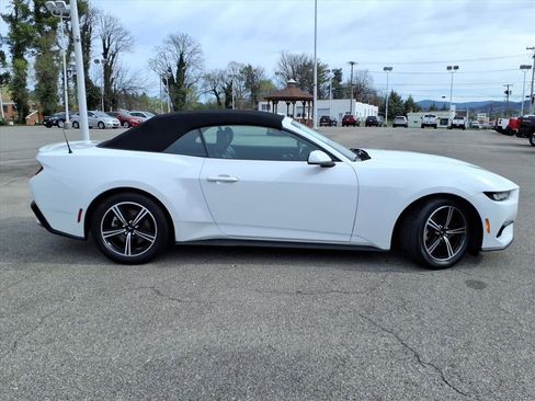 Used 2024 Ford Mustang Premium image 3