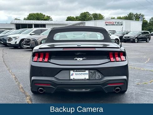 Used 2024 Ford Mustang Premium RWD image 5