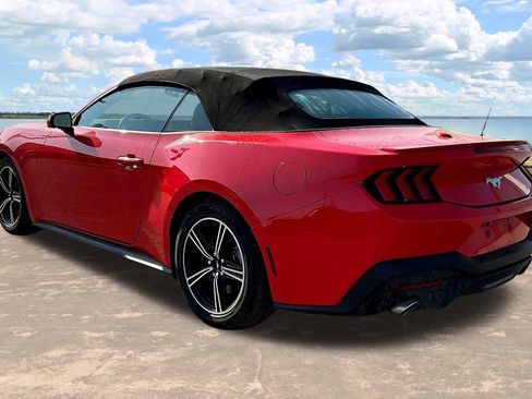 Used 2024 Ford Mustang Premium image 4