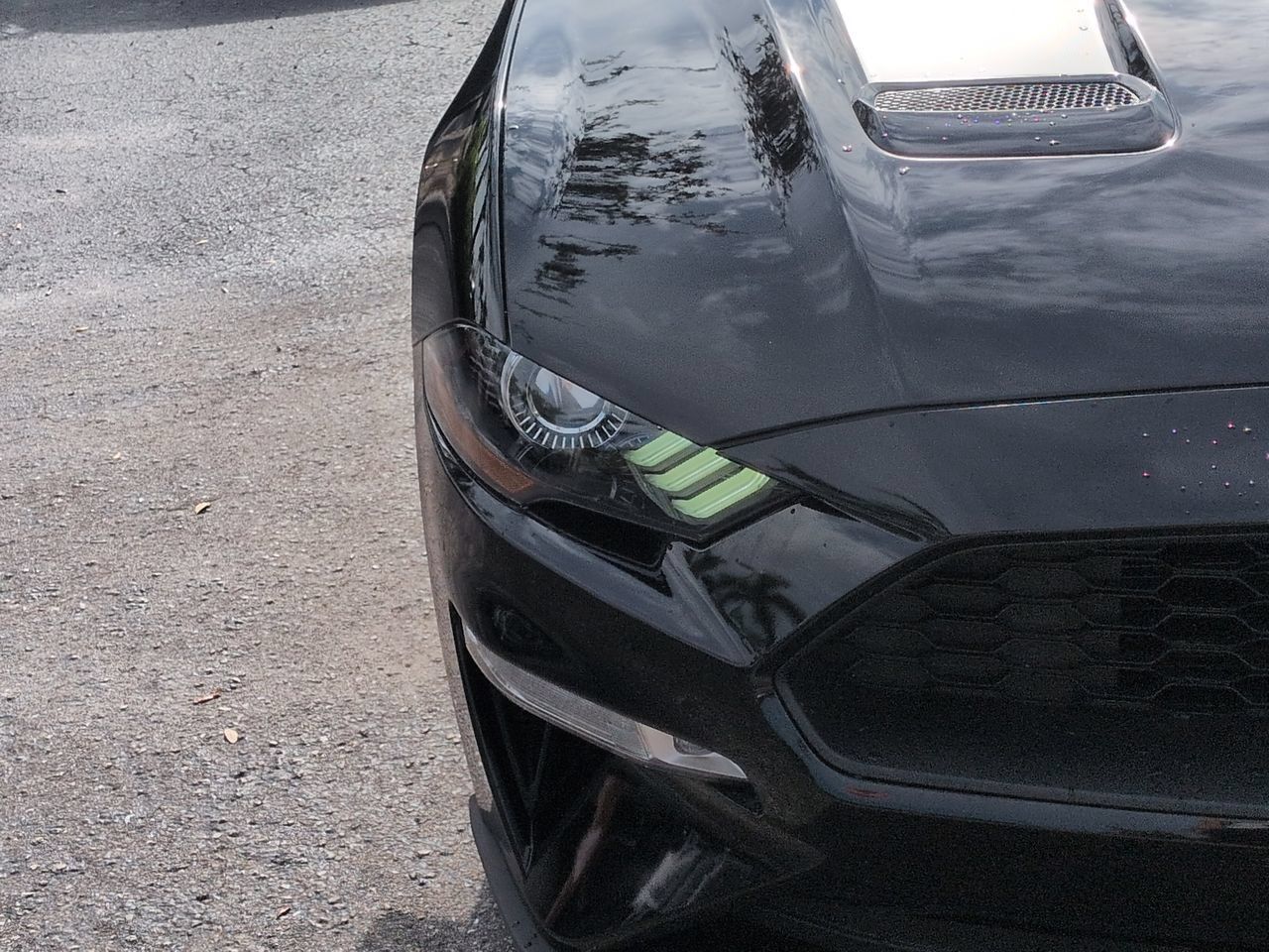 Used 2020 Ford Mustang Premium w/ Equipment Group 201A RWD image 10