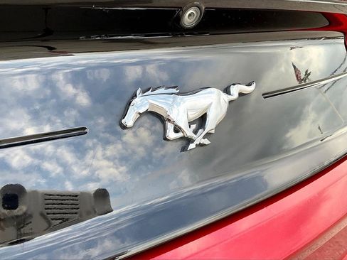 Used 2019 Ford Mustang Coupe w/ Ecoboost Performance Package image 32