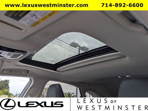 Certified 2025 Lexus NX 250 FWD image 19