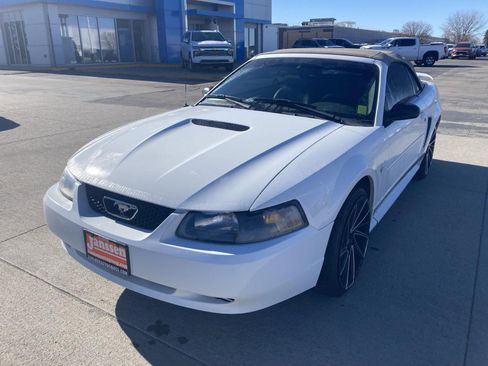Used 2002 Ford Mustang Deluxe image 2