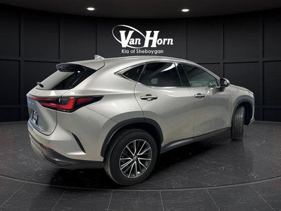 Used 2024 Lexus NX 350h AWD