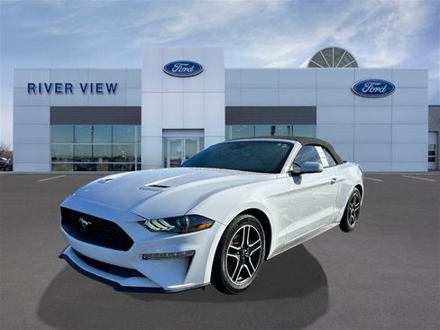 Certified 2022 Ford Mustang Premium image 3