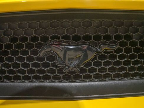 Used 2016 Ford Mustang GT Premium w/ Equipment Group 401A RWD image 37