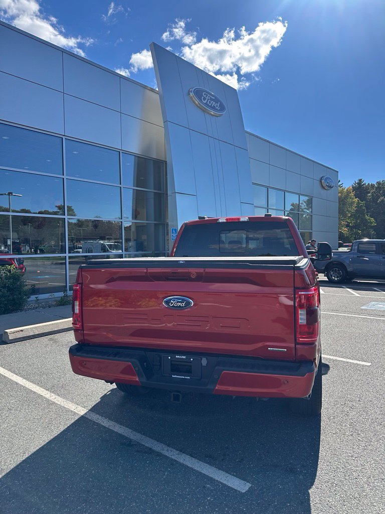 Used 2023 Ford F150 XLT w/ Equipment Group 302A High AWD/4WD image 4
