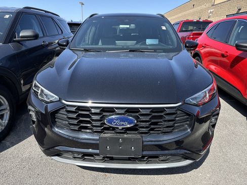 Used 2024 Ford Escape ST-Line Elite w/ Premium Technology Package image 3