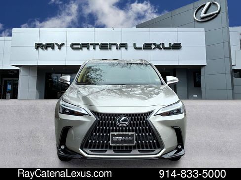 Certified 2023 Lexus NX 350 AWD image 2