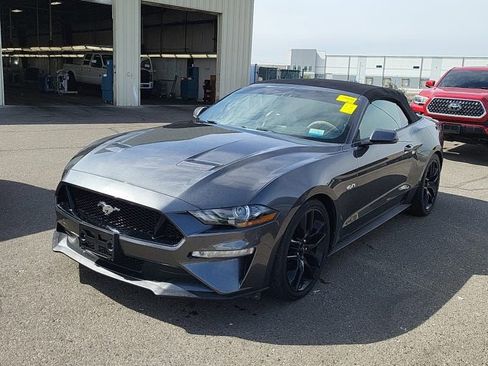 Used 2019 Ford Mustang GT Premium w/ Equipment Group 401A RWD image 1