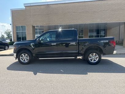 Used 2025 Ford F150 XLT w/ Equipment Group 301A Standard