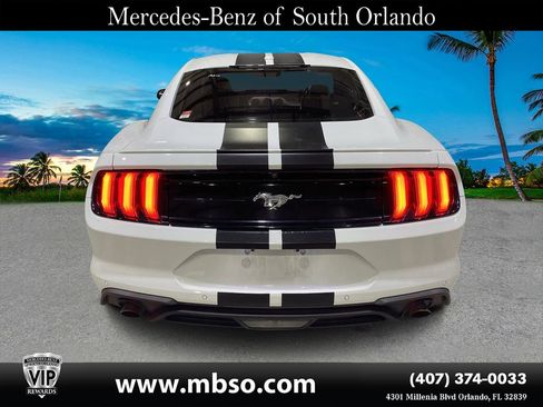 Used 2019 Ford Mustang Premium RWD image 13