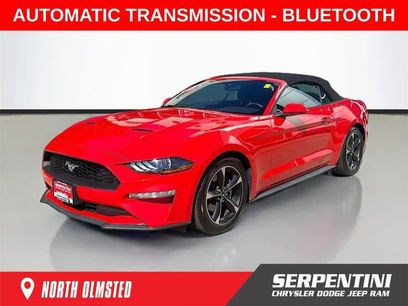 Used 2019 Ford Mustang Convertible