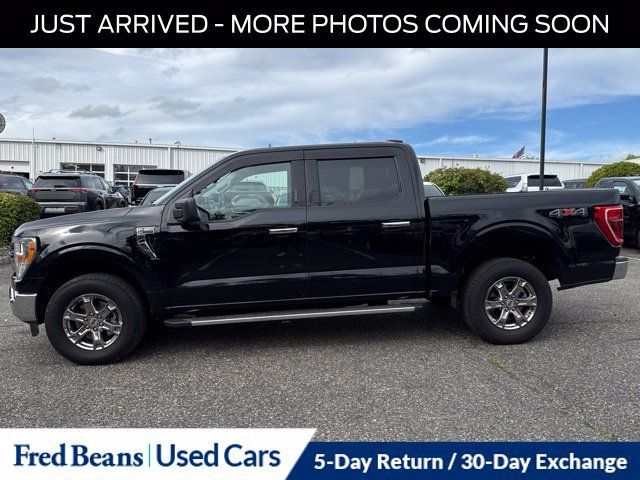 Used 2023 Ford F150 XLT w/ Equipment Group 301A Mid AWD/4WD image 4