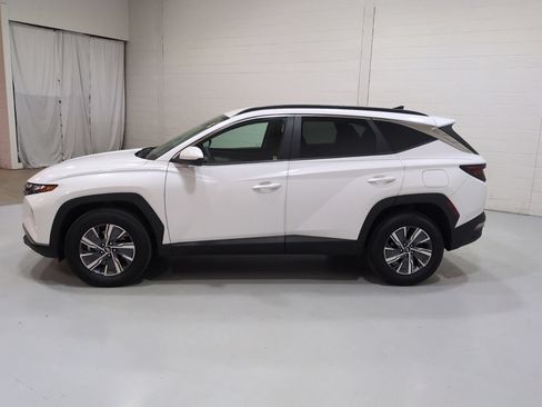 Certified 2024 Hyundai Tucson Blue AWD/4WD image 6