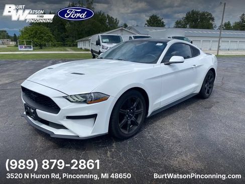 Used 2019 Ford Mustang Coupe w/ Equipment Group 101A RWD image 1