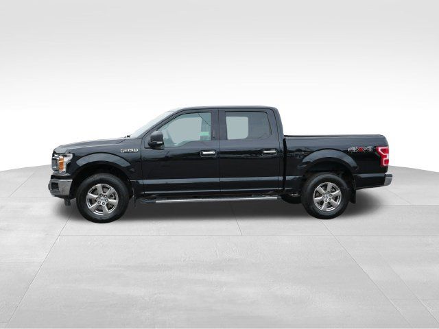 Used 2019 Ford F150 XLT w/ Equipment Group 302A Luxury AWD/4WD image 4