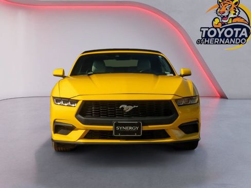 Used 2024 Ford Mustang Premium RWD image 2