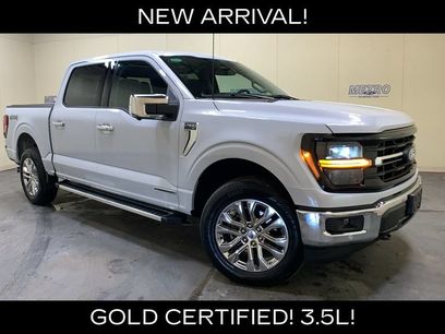 Certified 2025 Ford F150 XLT w/ Equipment Group 303A High