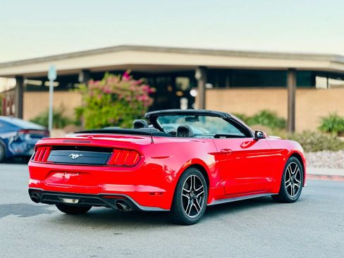 Used 2019 Ford Mustang Premium RWD image 6