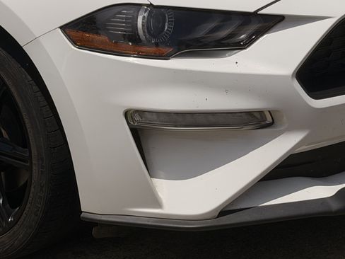 Used 2019 Ford Mustang Coupe w/ Equipment Group 101A RWD image 5