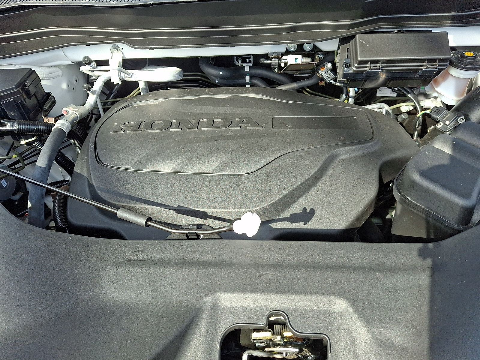 Certified 2026 Honda Ridgeline Black Edition image 29