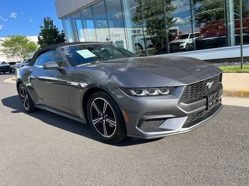 Used 2025 Ford Mustang Premium RWD image 10
