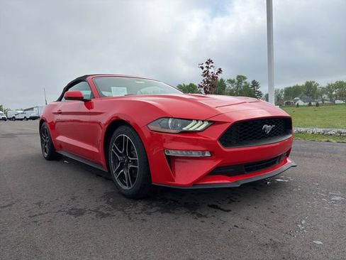 Certified 2020 Ford Mustang Premium RWD image 1