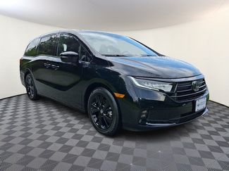Used 2024 Honda Odyssey Sport video 1