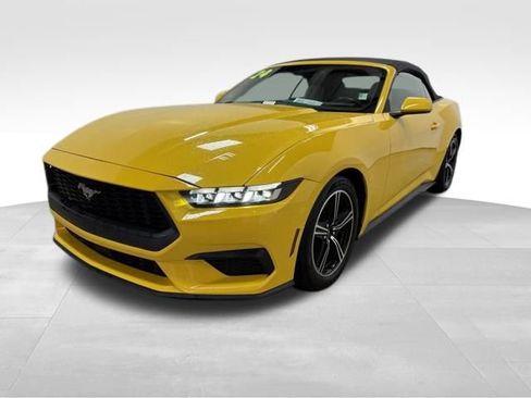 Used 2024 Ford Mustang Premium image 2