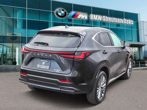 Used 2024 Lexus NX 350 Luxury image 4