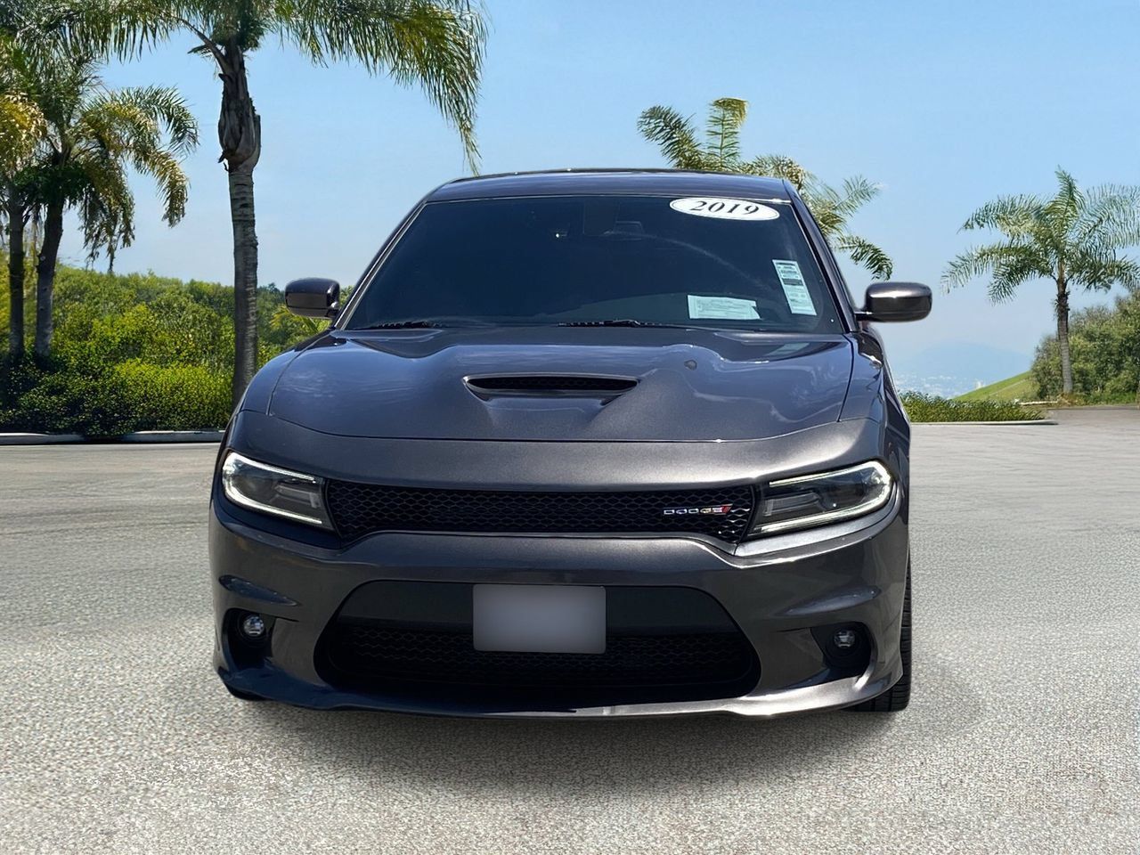 Used 2019 Dodge Charger R/T RWD image 7