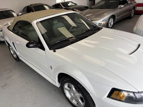 Used 2003 Ford Mustang Deluxe RWD image 4
